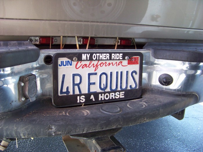 Exiss 3-Horse Trailer with LQ
