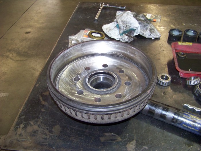 Warner Bros Tongue Shorten