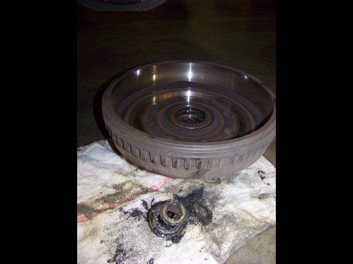 Warner Bros Tongue Shorten